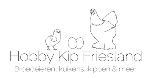 Hobbykip Friesland